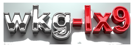 wkg-lx9 logo
